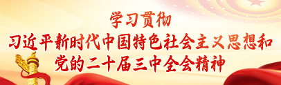 学习贯彻习近平新时代中国特色社会主义思想和党的二十届三中全会精神